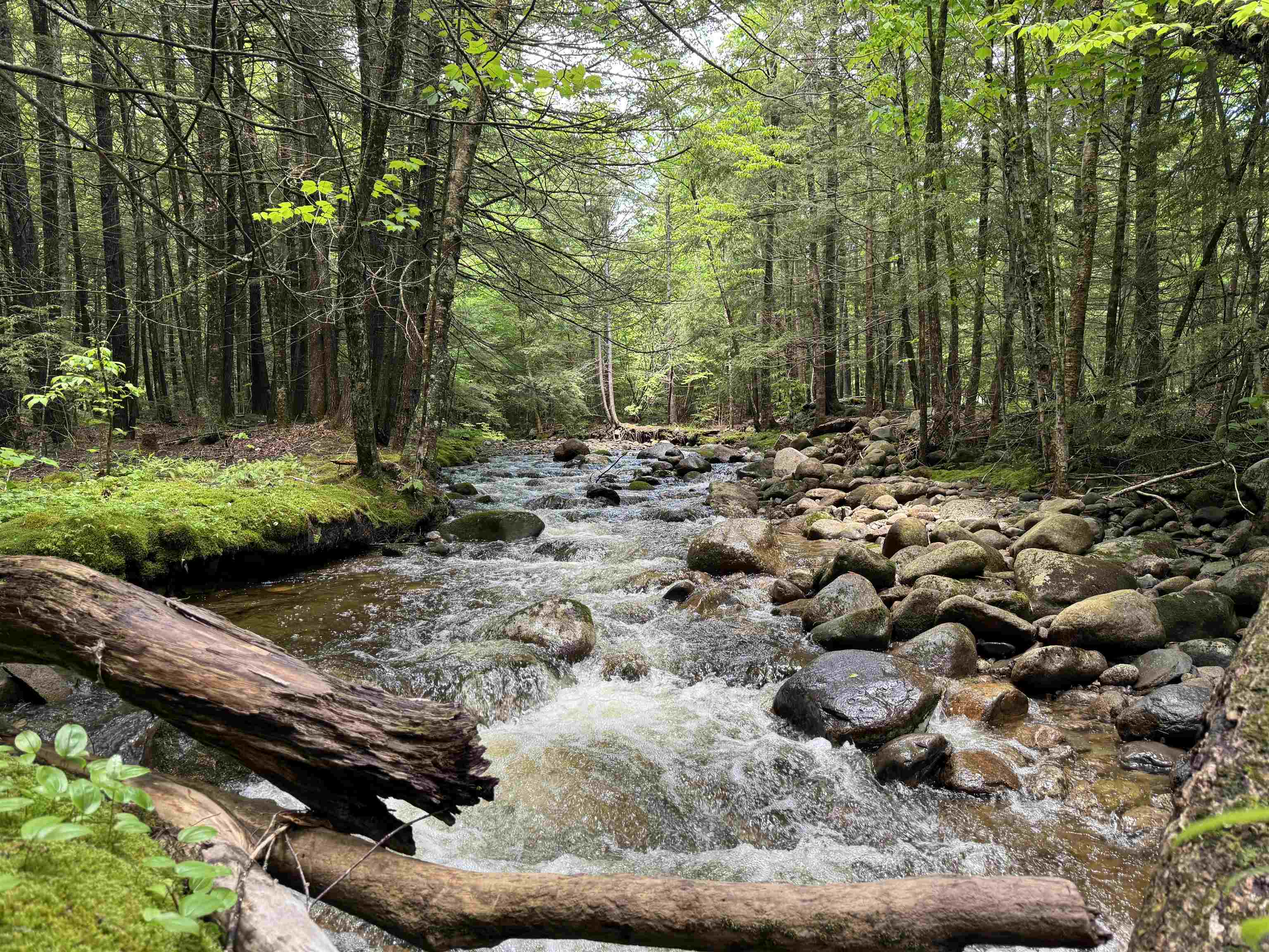 3039 Highway 3 Thornton, NH 03285 - Photo 54 of 56