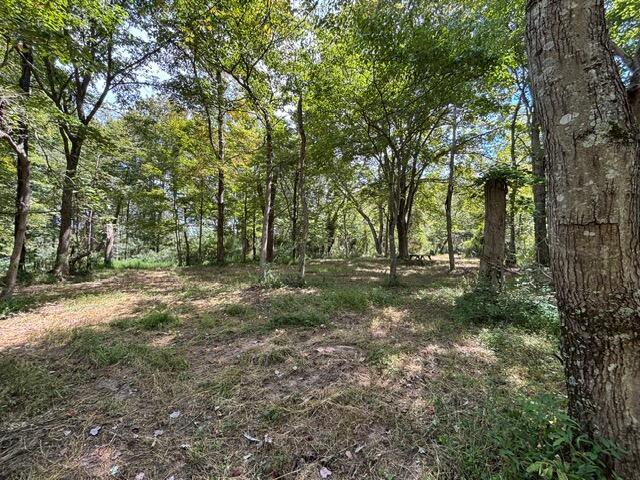 0 Us-35 Ray, OH 45672 - Photo 4 of 15 Clearing at top elevation 920'