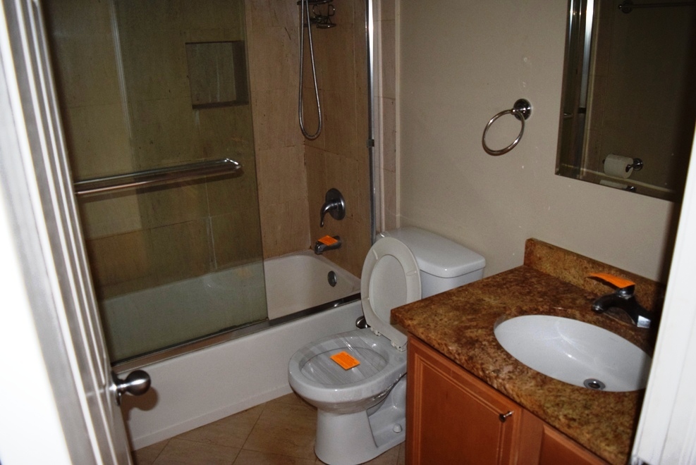 10473 Dearlove Road, Unit 6 Glenview, IL 60025 - Photo 9 of 21 a bathroom with a granite countertop sink toilet and shower