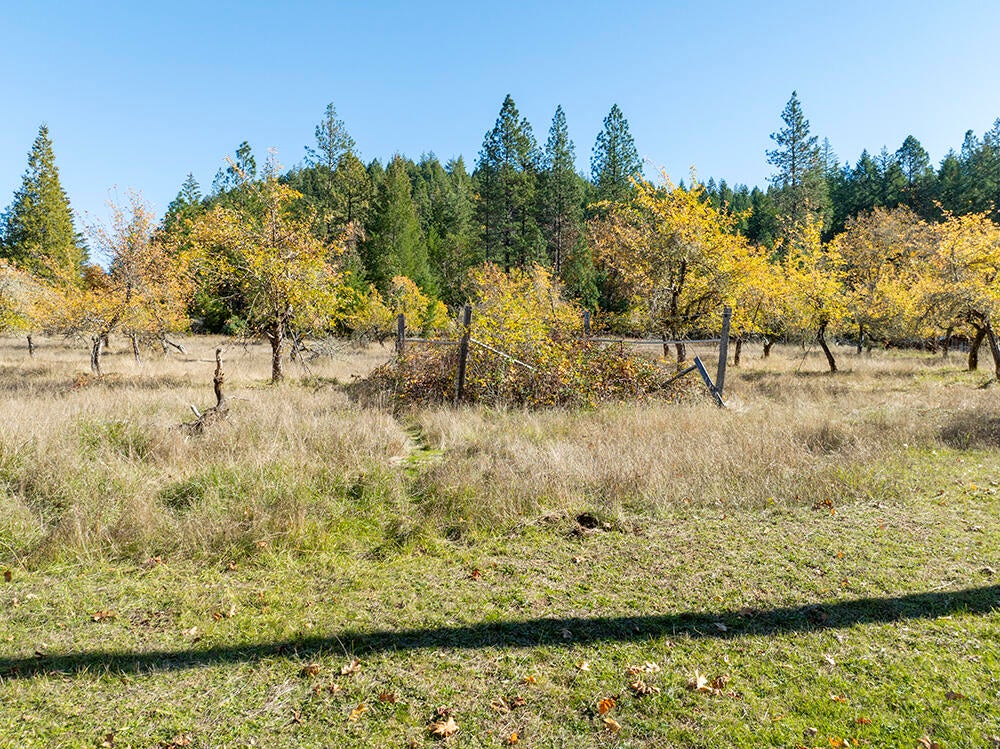 1263 Waldo Road Cave Junction, OR 97523 - Photo 72 of 82 54