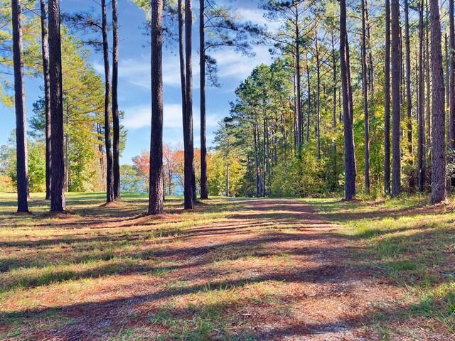 0 South Pointe Cove Lincolnton, GA 30817 - Photo 13 of 15 a5750c8d2060a00091b359338f536a73ba0bbc21