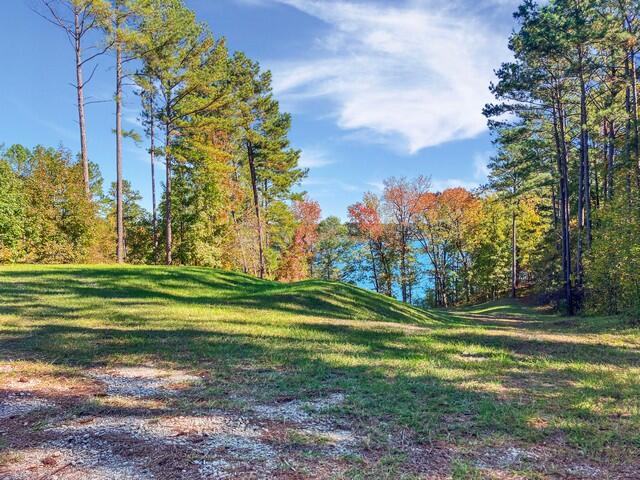 0 South Pointe Cove Lincolnton, GA 30817 - Photo 14 of 15 b2b7271f6d06ab134782fa50167bcfdeab88f823