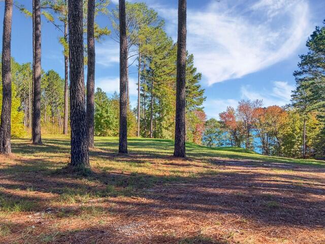 0 South Pointe Cove Lincolnton, GA 30817 - Photo 5 of 15 1dbaf6a2e3e55c583a7c895c9aa25a4bc67ec580
