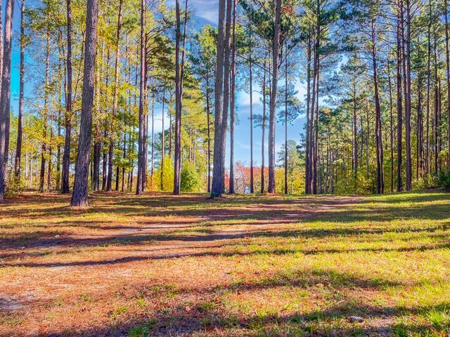 0 South Pointe Cove Lincolnton, GA 30817 - Photo 7 of 15 0d88e4f3c438aafcca727bbd0ba9874c5592a664