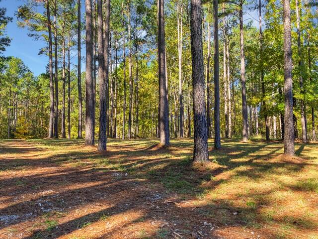 0 South Pointe Cove Lincolnton, GA 30817 - Photo 10 of 15 4d02524bf9a82d522761e084a6e867b4cd6ce3ea