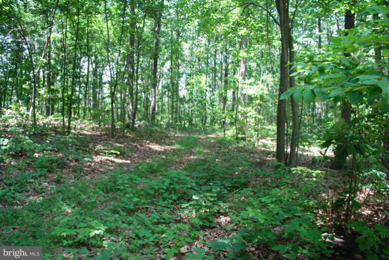 3 Millers Station Road Manchester, MD 21102 - Photo 1 of 1 Gorgeous lot!