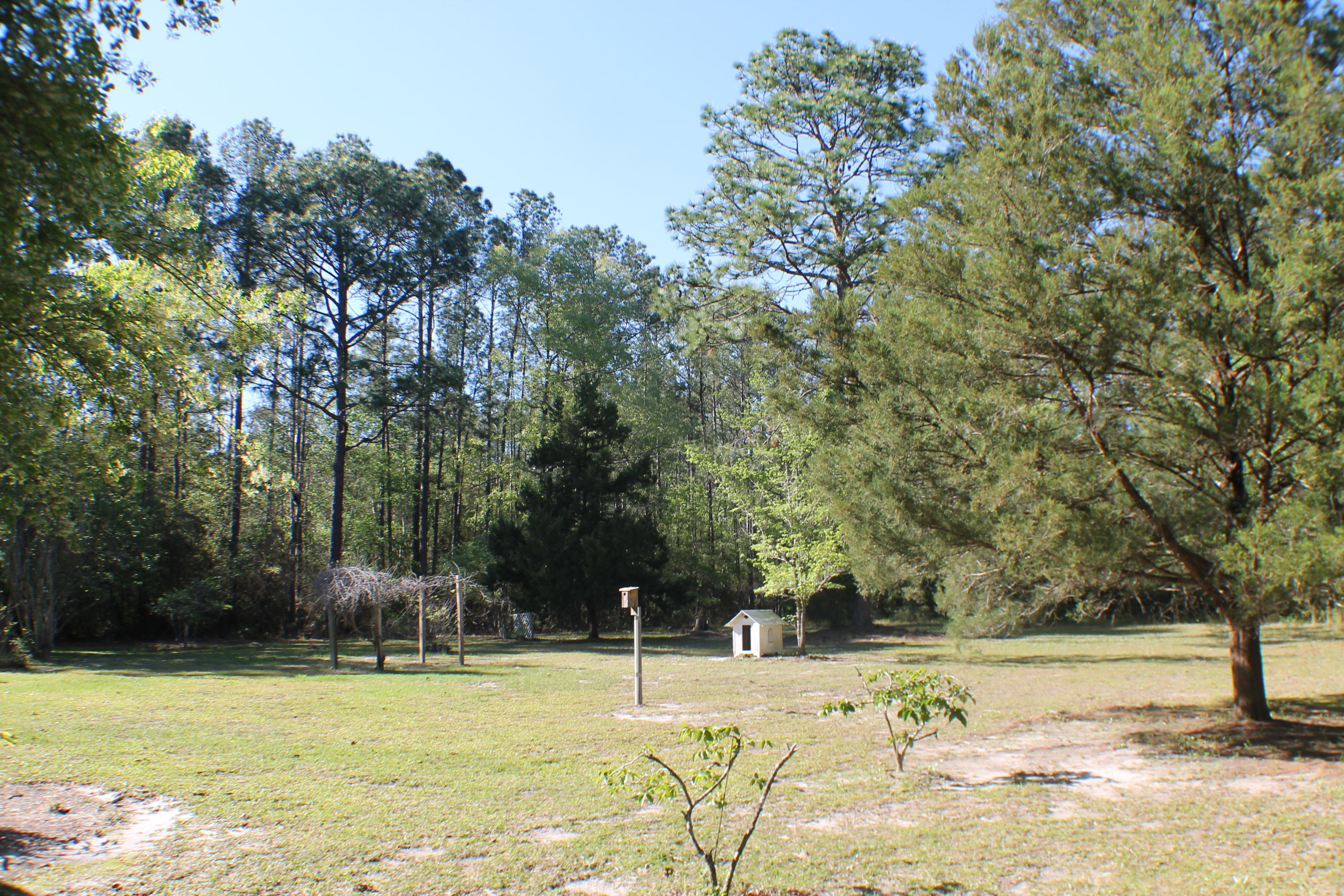 3899 Poverty Creek Road Crestview, FL 32539 - Photo 43 of 58 IMG_0123