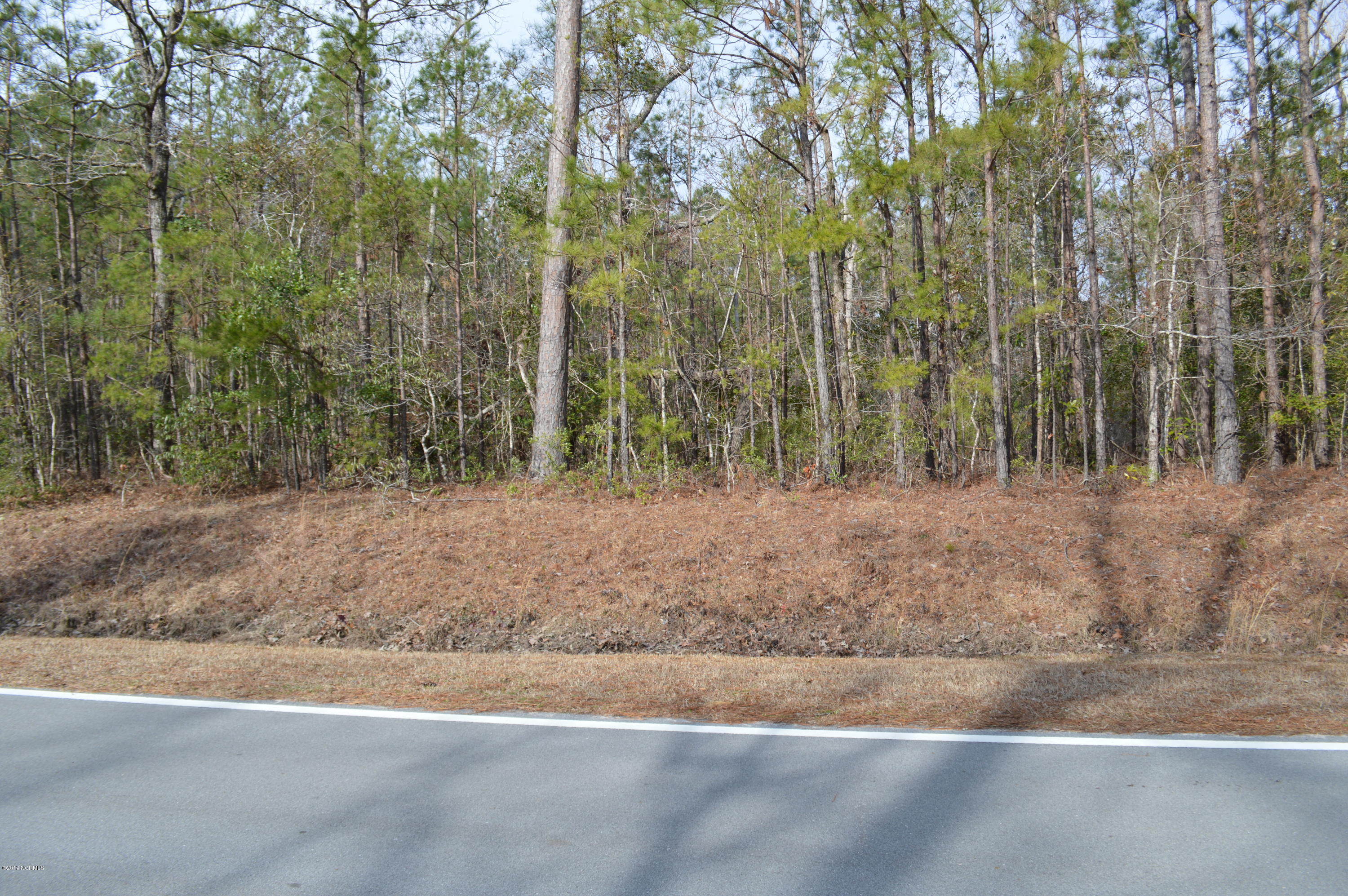 239 White Oak Bluff Road Stella, NC 28582 - Photo 3 of 8 White Oak Bluff