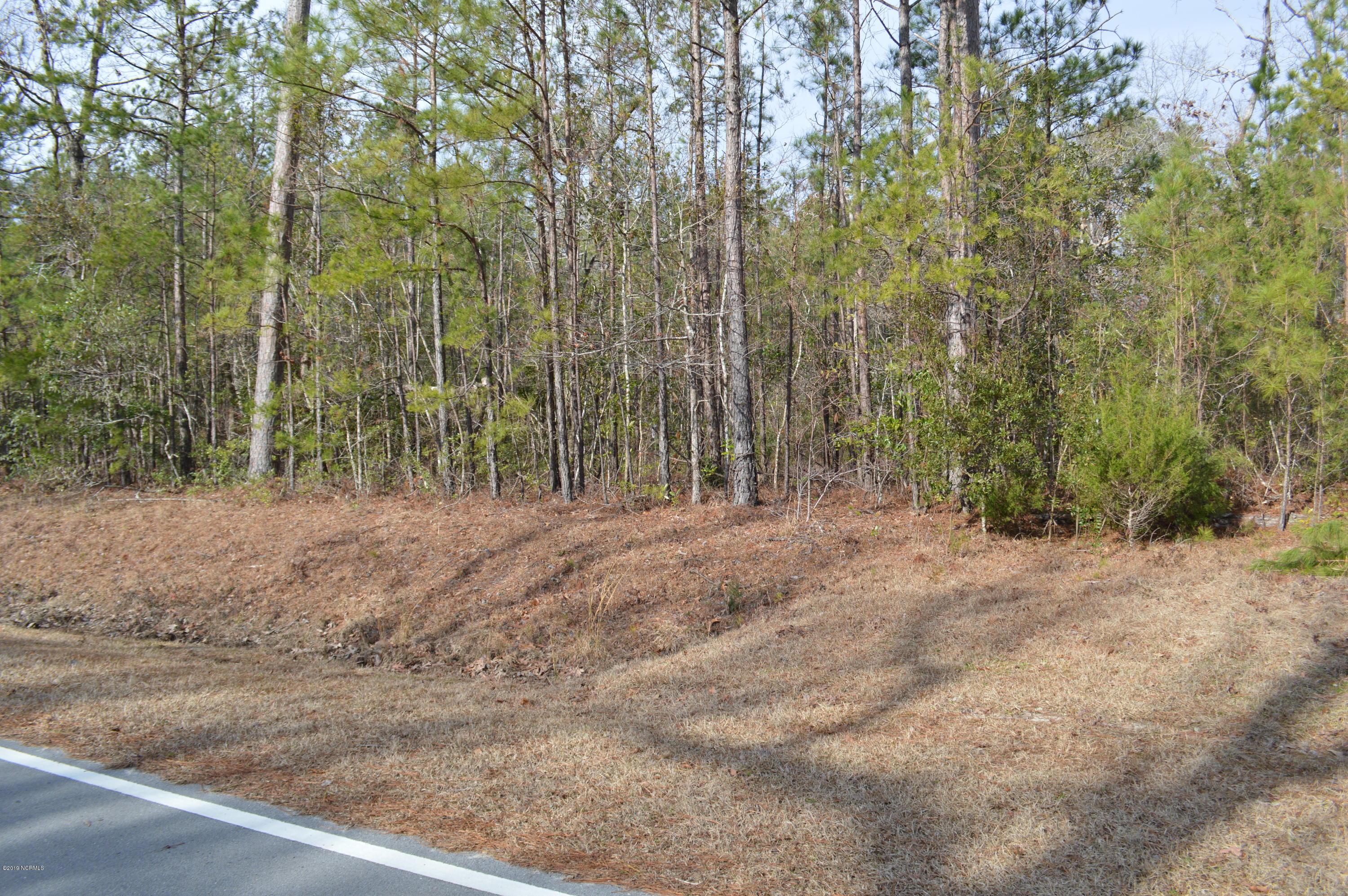 239 White Oak Bluff Road Stella, NC 28582 - Photo 4 of 8 White Oak Bluff