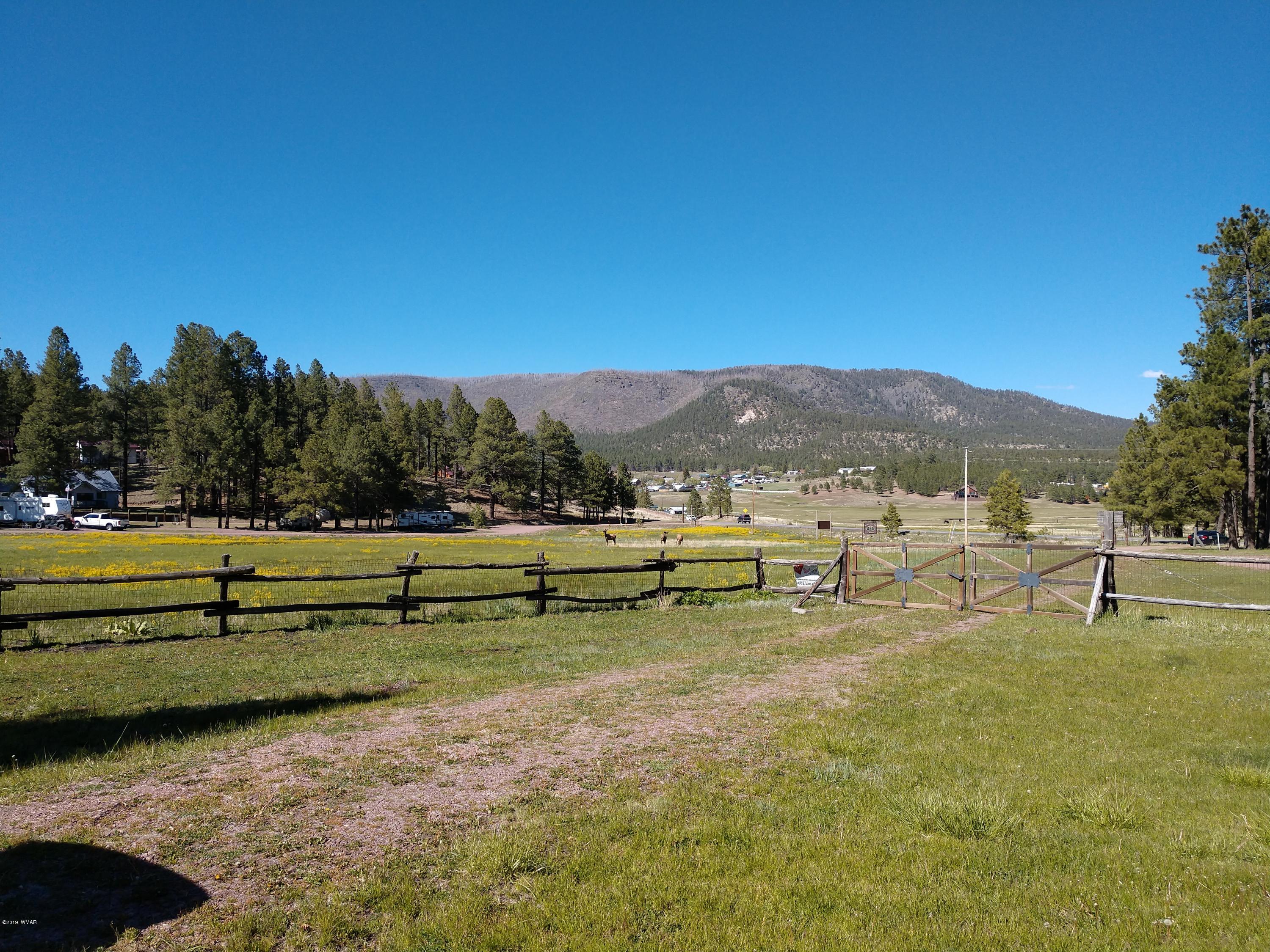 25329 Us-191 Alpine, AZ 85920 - Photo 30 of 33