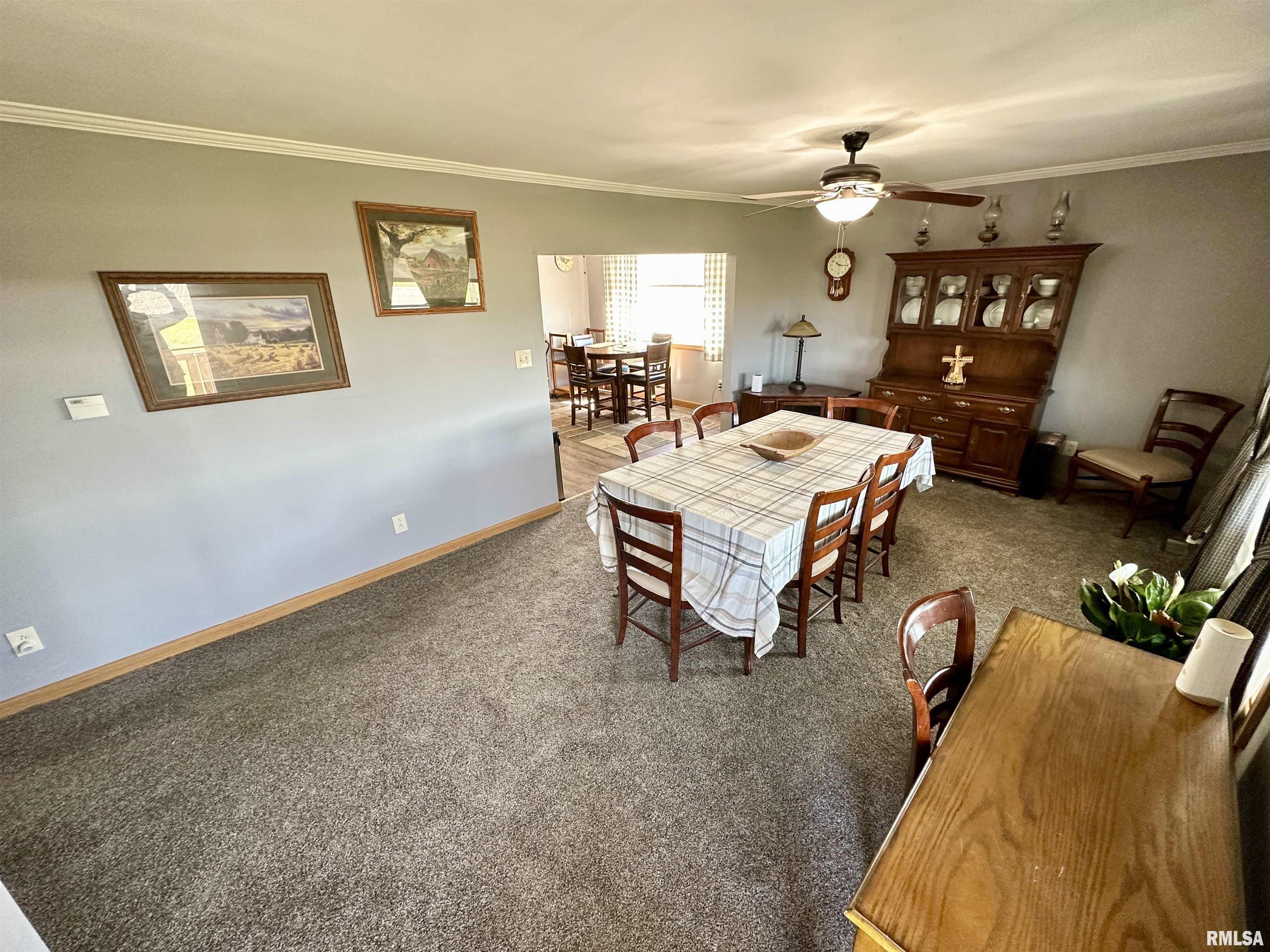938 Cylinder Head Road Chapin, IL 62628 - Photo 5 of 46