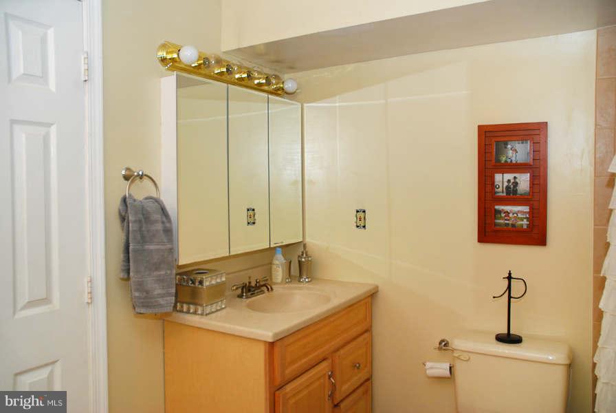 7900 Morning Ride Court Alexandria, VA 22315 - Photo 19 of 23 Lower level bath