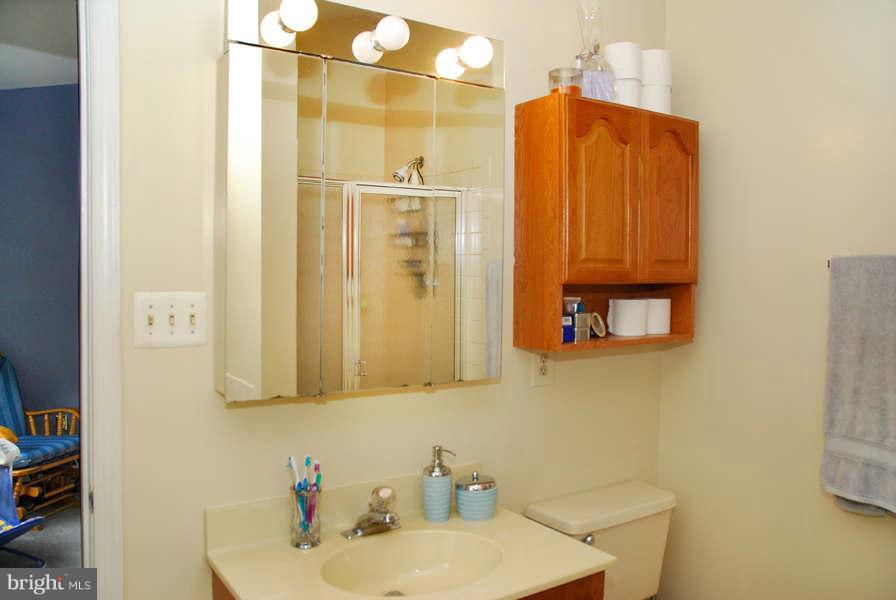 7900 Morning Ride Court Alexandria, VA 22315 - Photo 10 of 23 Bath (Master)