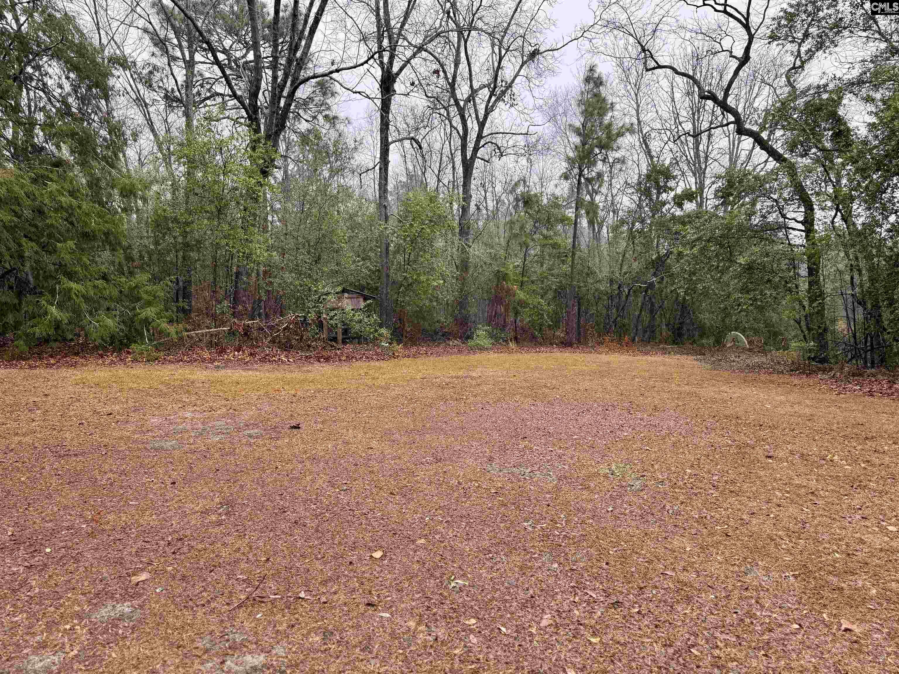 960 Old Charleston Road Pelion, SC 29123 - Photo 29 of 30