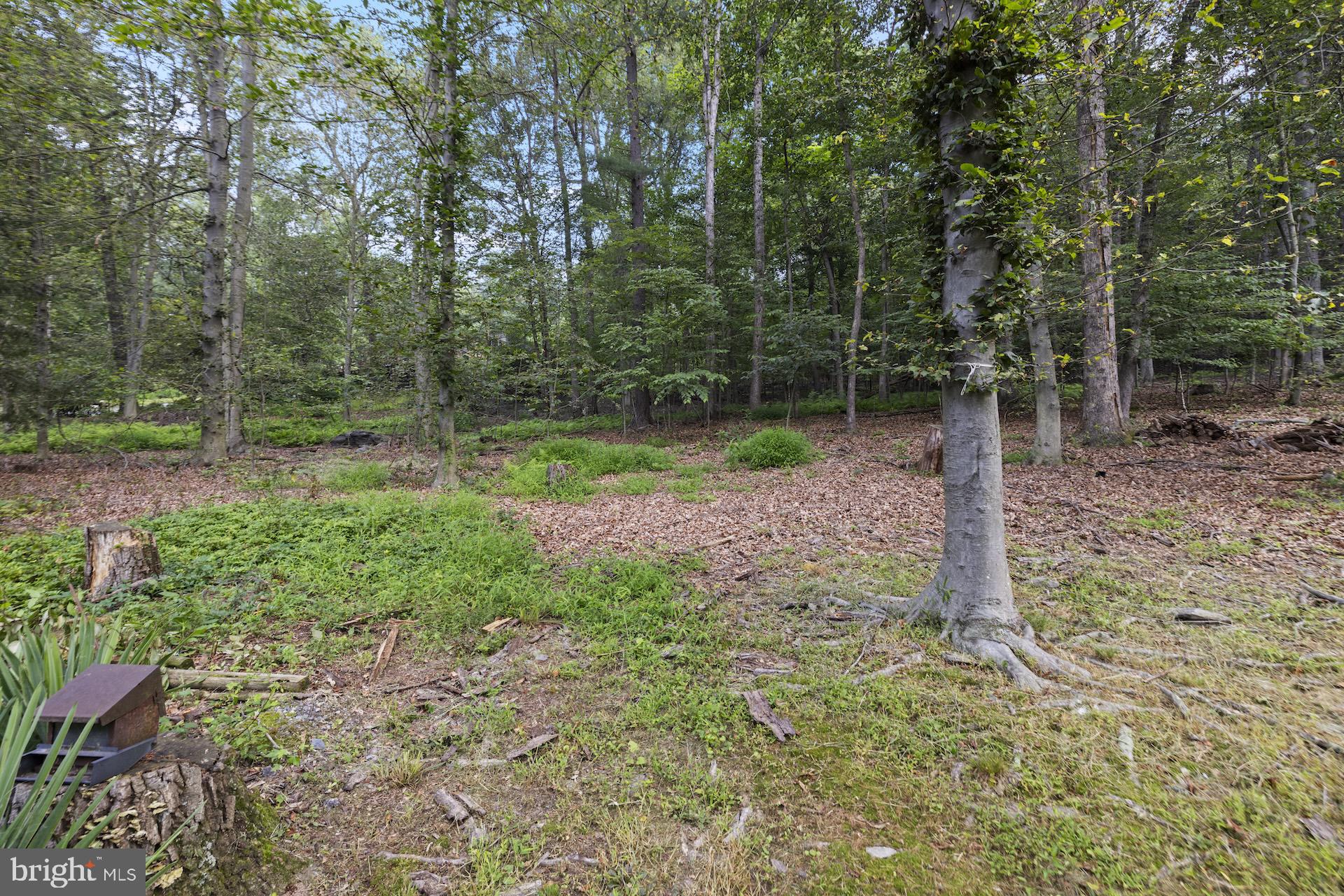 993 Mt Hope Road Fairfield, PA 17320 - Photo 61 of 76