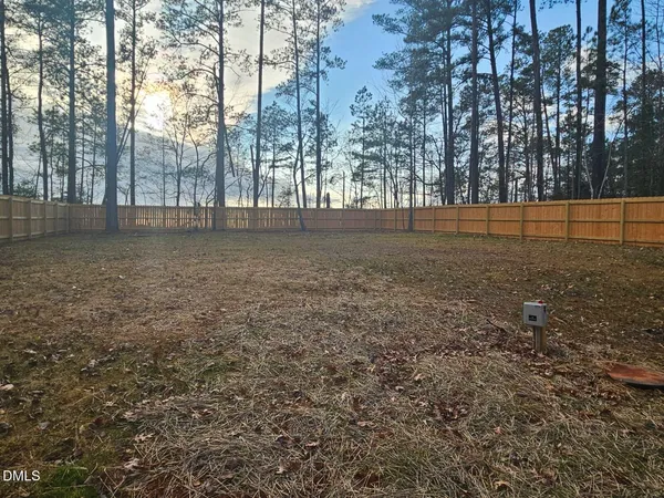 a view of yard with large trees