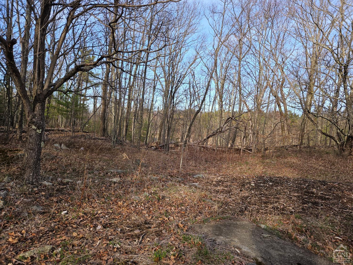 51 Dunbar Road Hudson, NY 12534 - Photo 11 of 32 a view of house with yard and trees