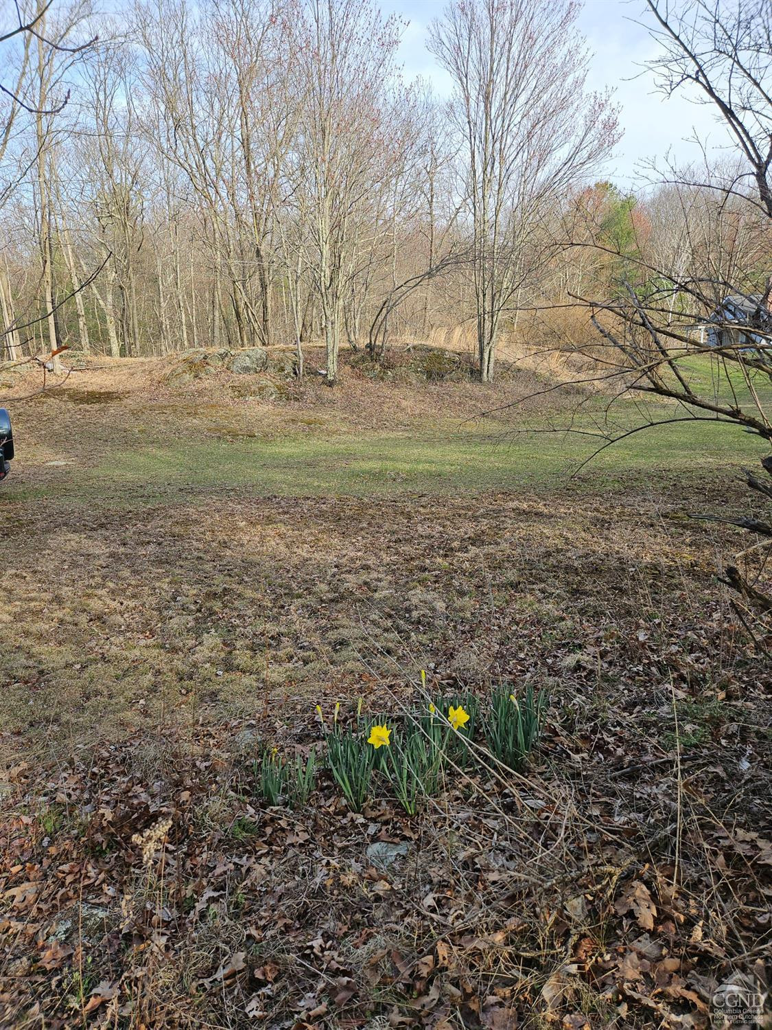 51 Dunbar Road Hudson, NY 12534 - Photo 13 of 32 a backyard of a house with lots of green space