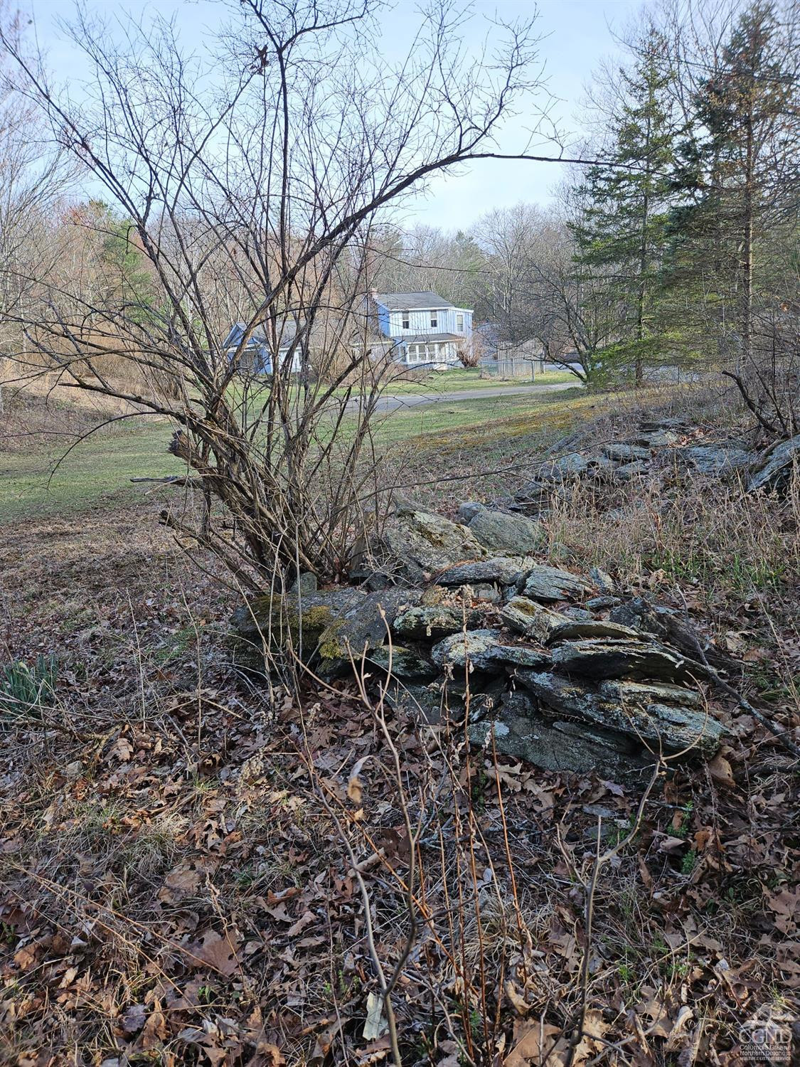 51 Dunbar Road Hudson, NY 12534 - Photo 14 of 32 a view of a yard with a tree