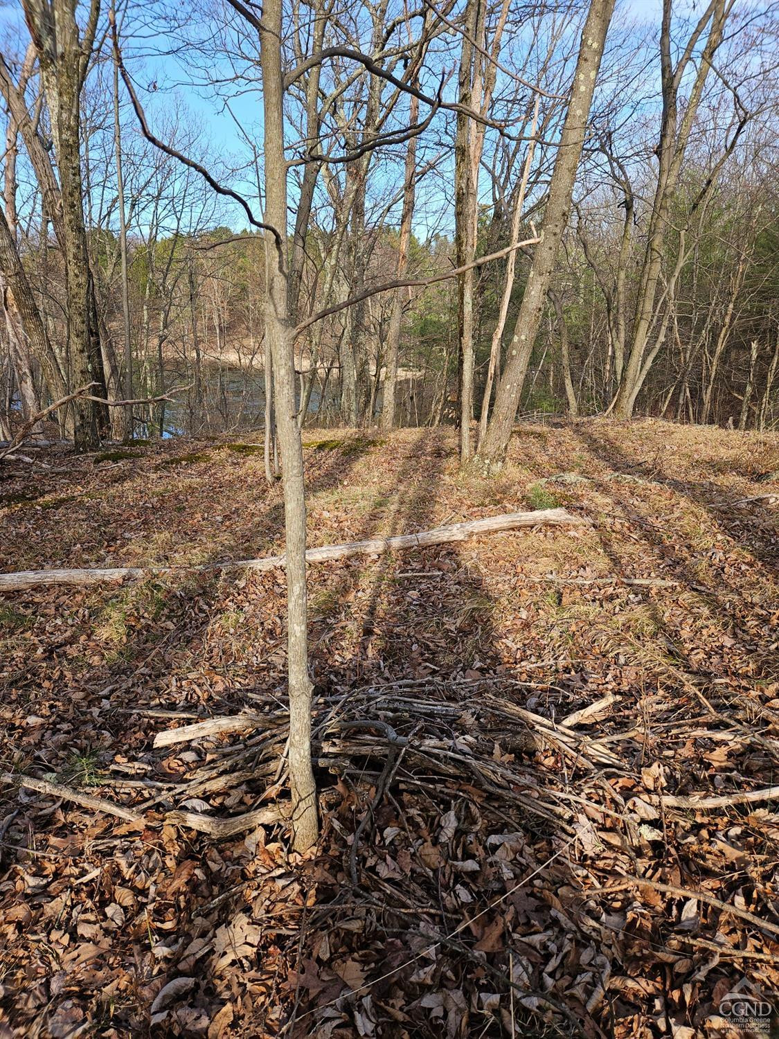 51 Dunbar Road Hudson, NY 12534 - Photo 15 of 32 a view of a yard with large trees