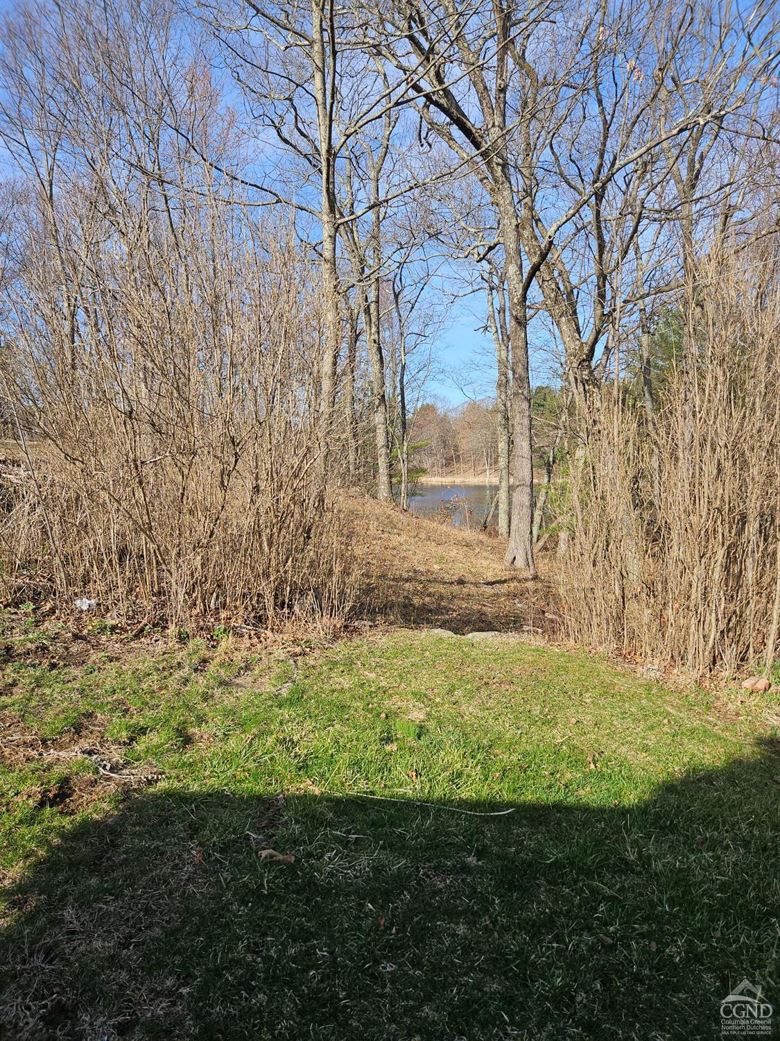 51 Dunbar Road Hudson, NY 12534 - Photo 16 of 32 a view of a backyard with large trees
