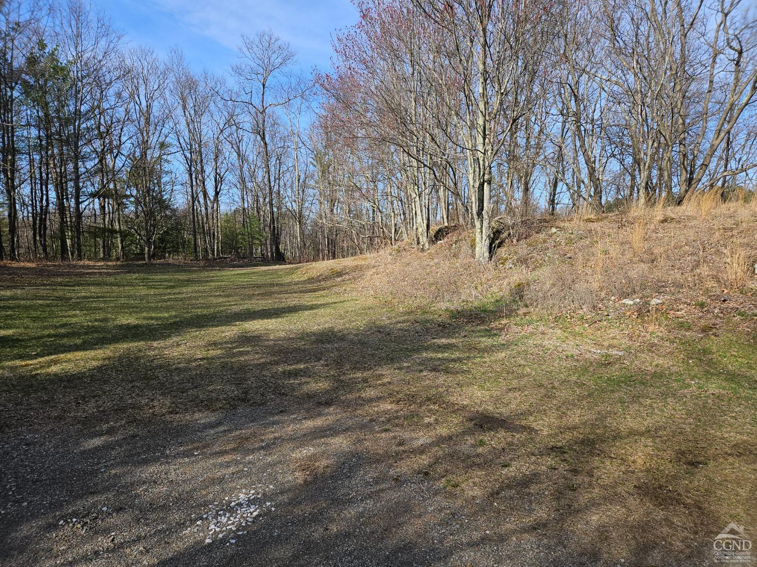 51 Dunbar Road Hudson, NY 12534 - Photo 2 of 32 a view of dirt yard with a large tree