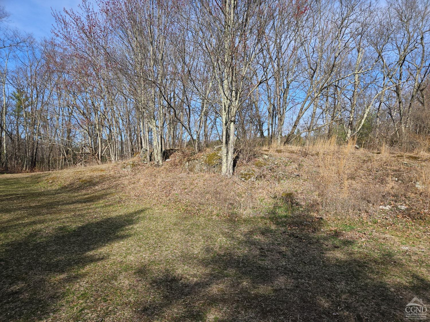 51 Dunbar Road Hudson, NY 12534 - Photo 4 of 32 a view of road and trees