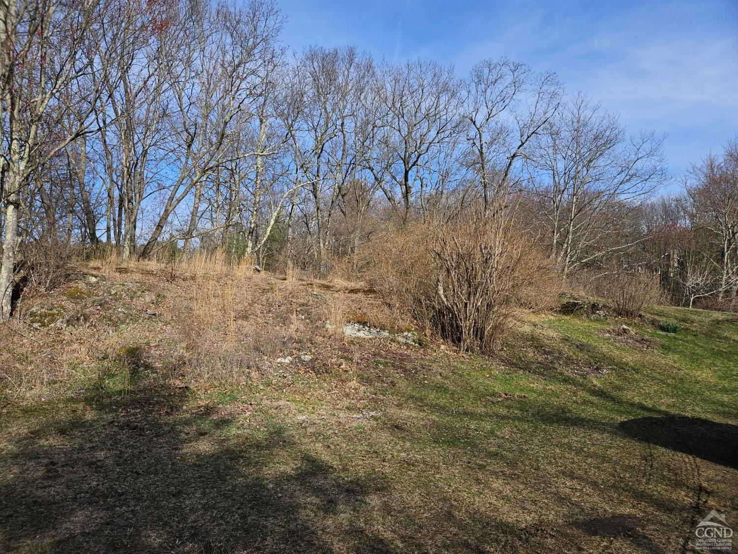 51 Dunbar Road Hudson, NY 12534 - Photo 8 of 32 a view of a yard