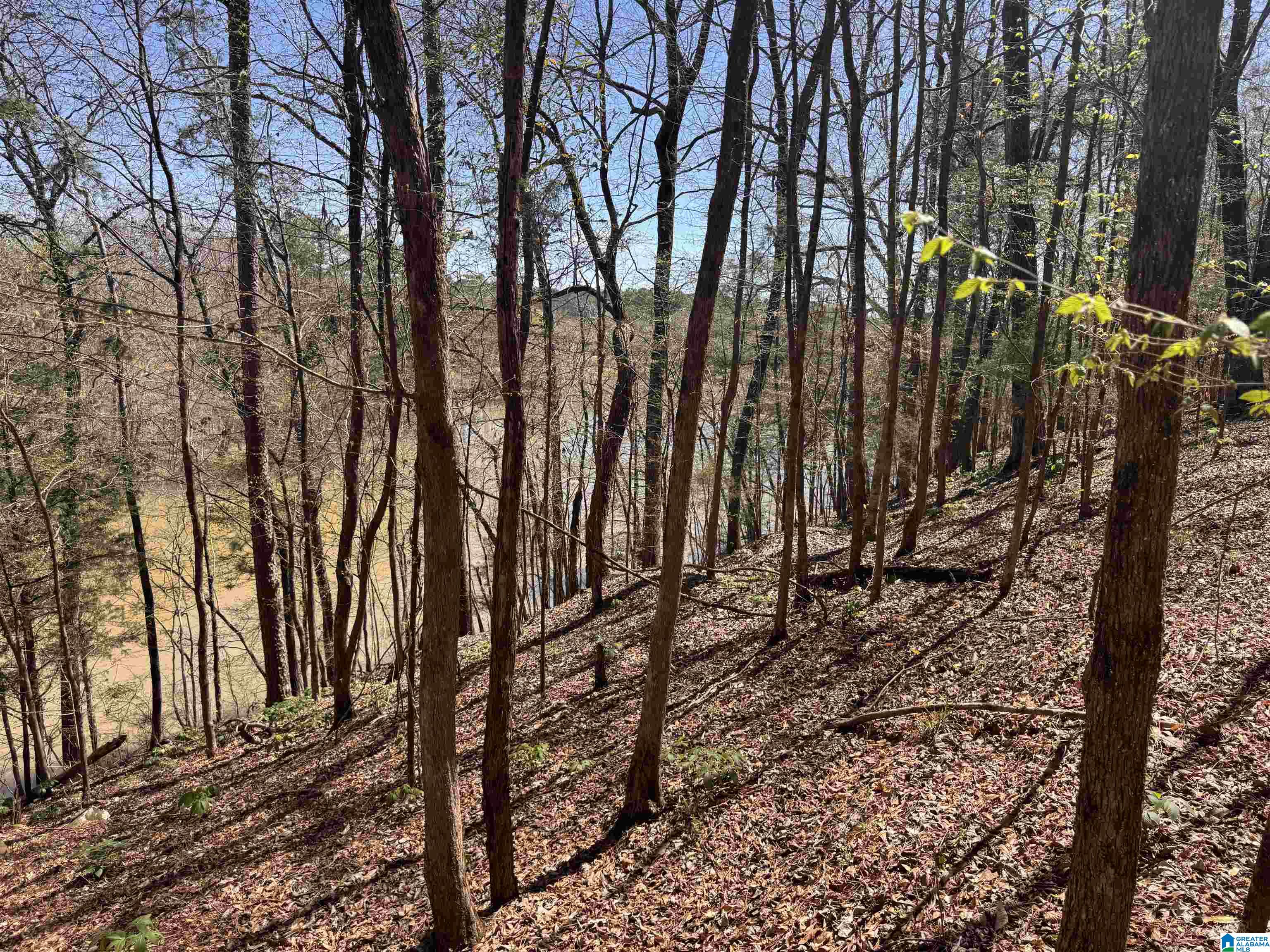 0 Finnell Road Northport, AL 35475 - Photo 5 of 6