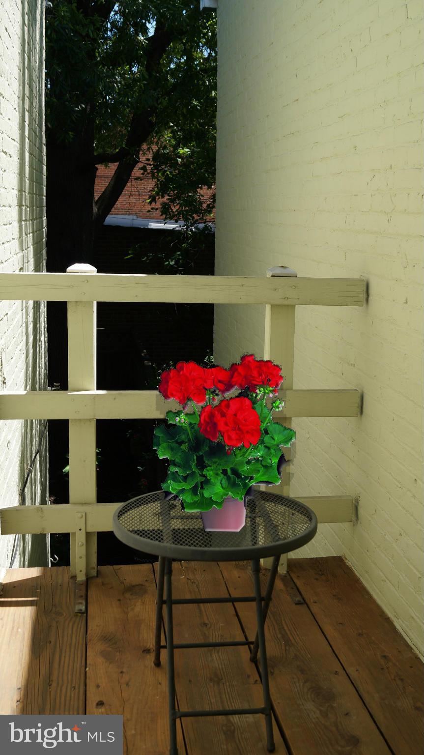 336 8th Street Southeast Washington, DC 20003 - Photo 20 of 25 Bedroom 2 balcony