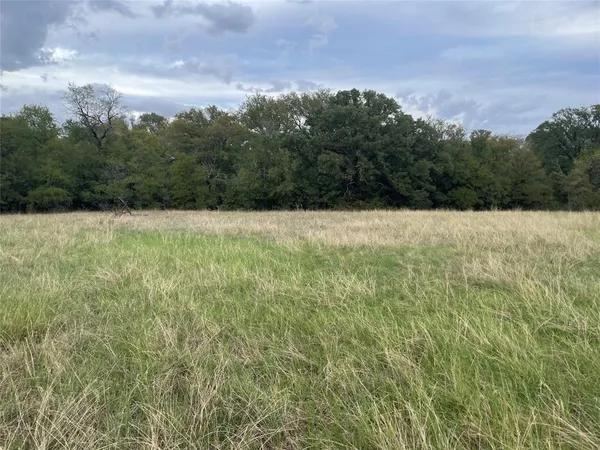 $129,998 | Tbd Bearden Lane, Mingus, TX 76463