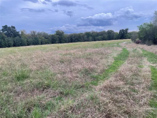 a view of a field with a tree in the background