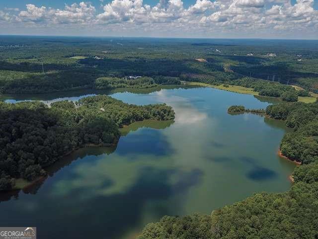 206 Enclave Lane Newnan, GA 30263 - Photo 4 of 31