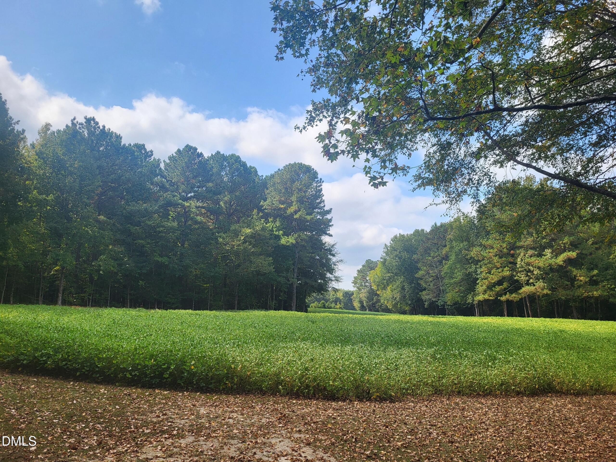 394 King Road Castalia, NC 27816 - Photo 71 of 100 a view of a park