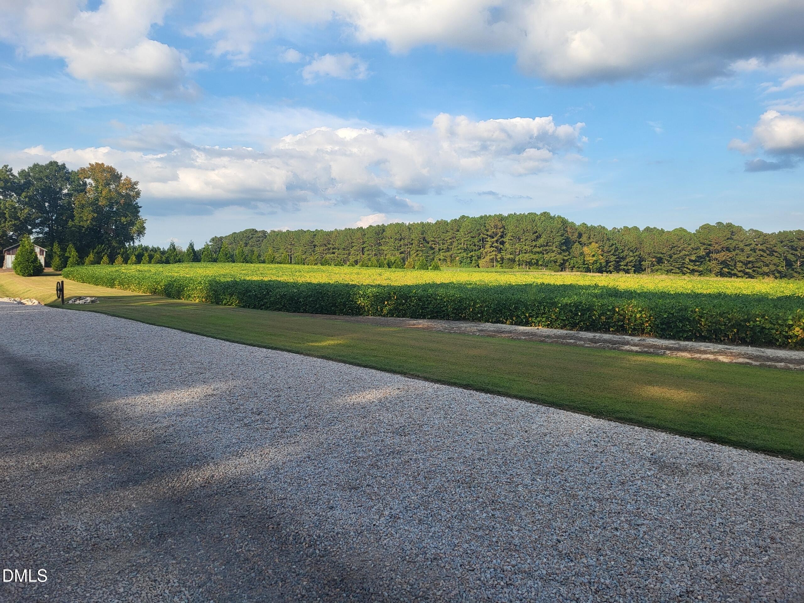 394 King Road Castalia, NC 27816 - Photo 75 of 100 a view of a lake with a big yard