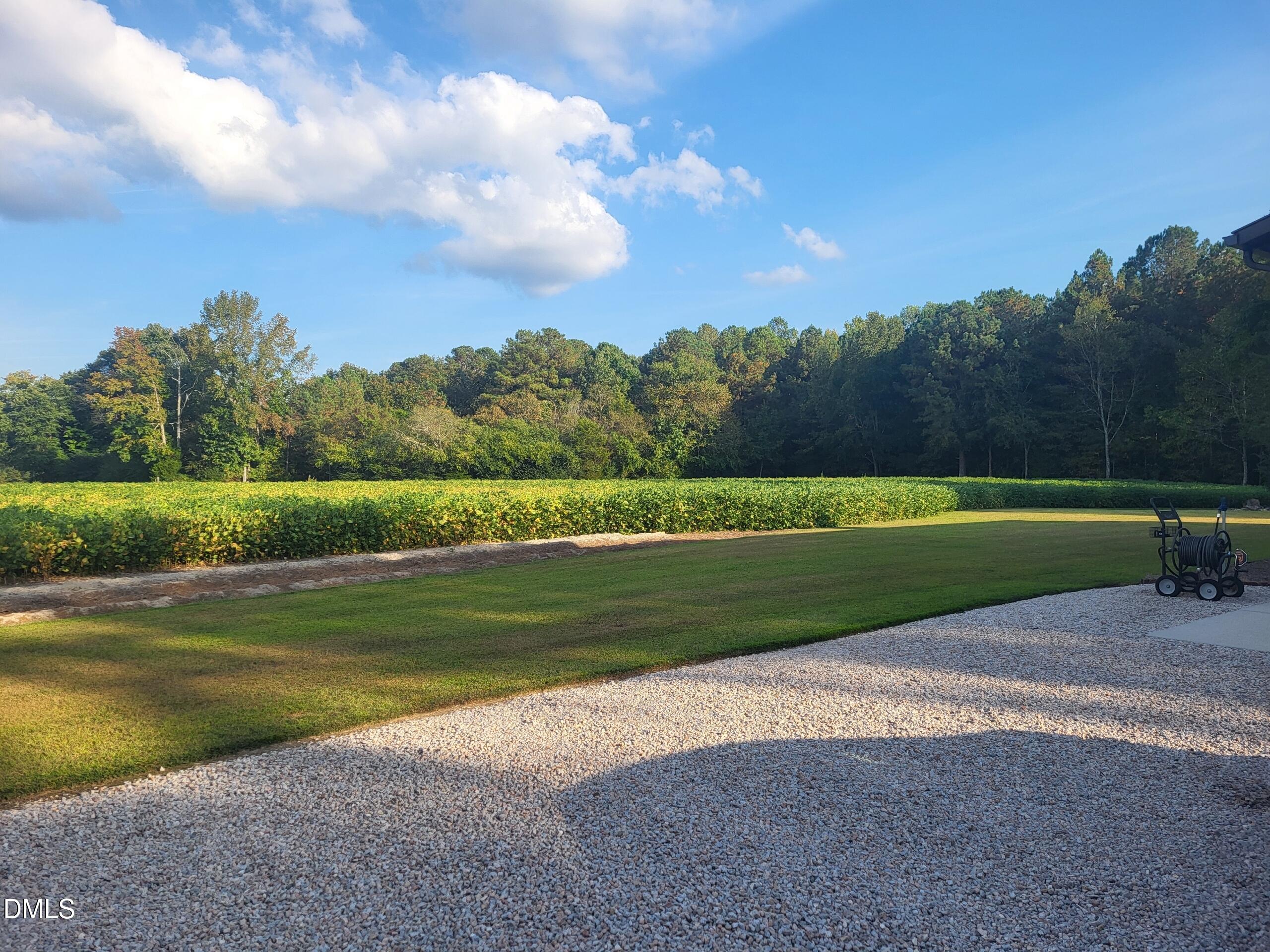 394 King Road Castalia, NC 27816 - Photo 76 of 100 a view of a golf course with a lake