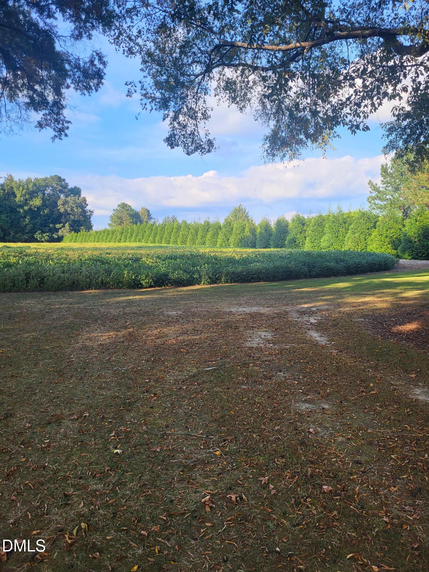 394 King Road Castalia, NC 27816 - Photo 77 of 100 a view of an outdoor space and a lake view