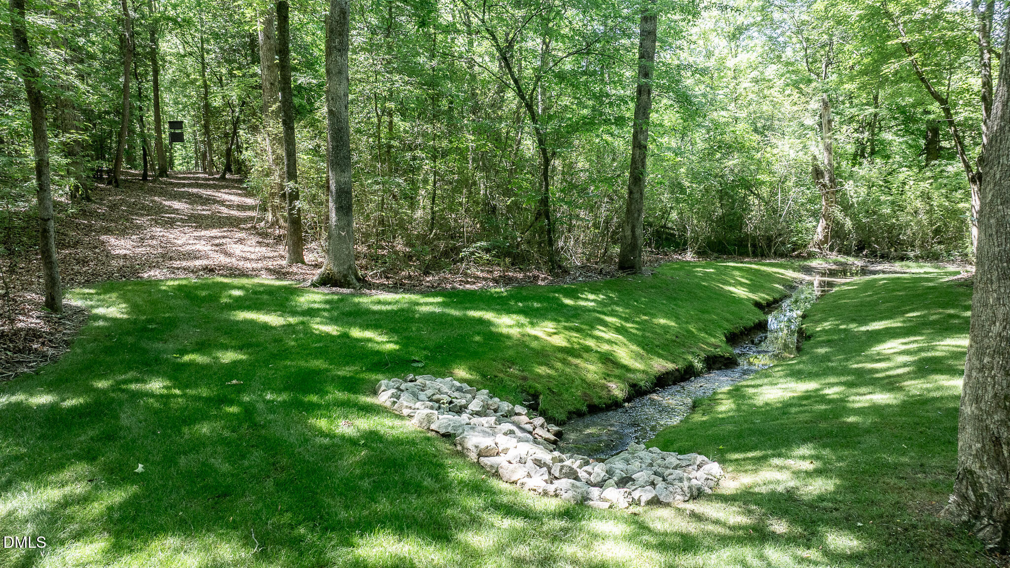 394 King Road Castalia, NC 27816 - Photo 88 of 100 a view of a forest with trees in the background
