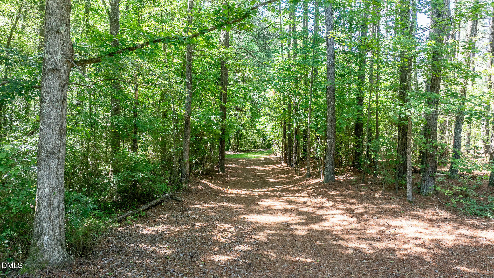 394 King Road Castalia, NC 27816 - Photo 89 of 100 a view of a forest with trees in the background
