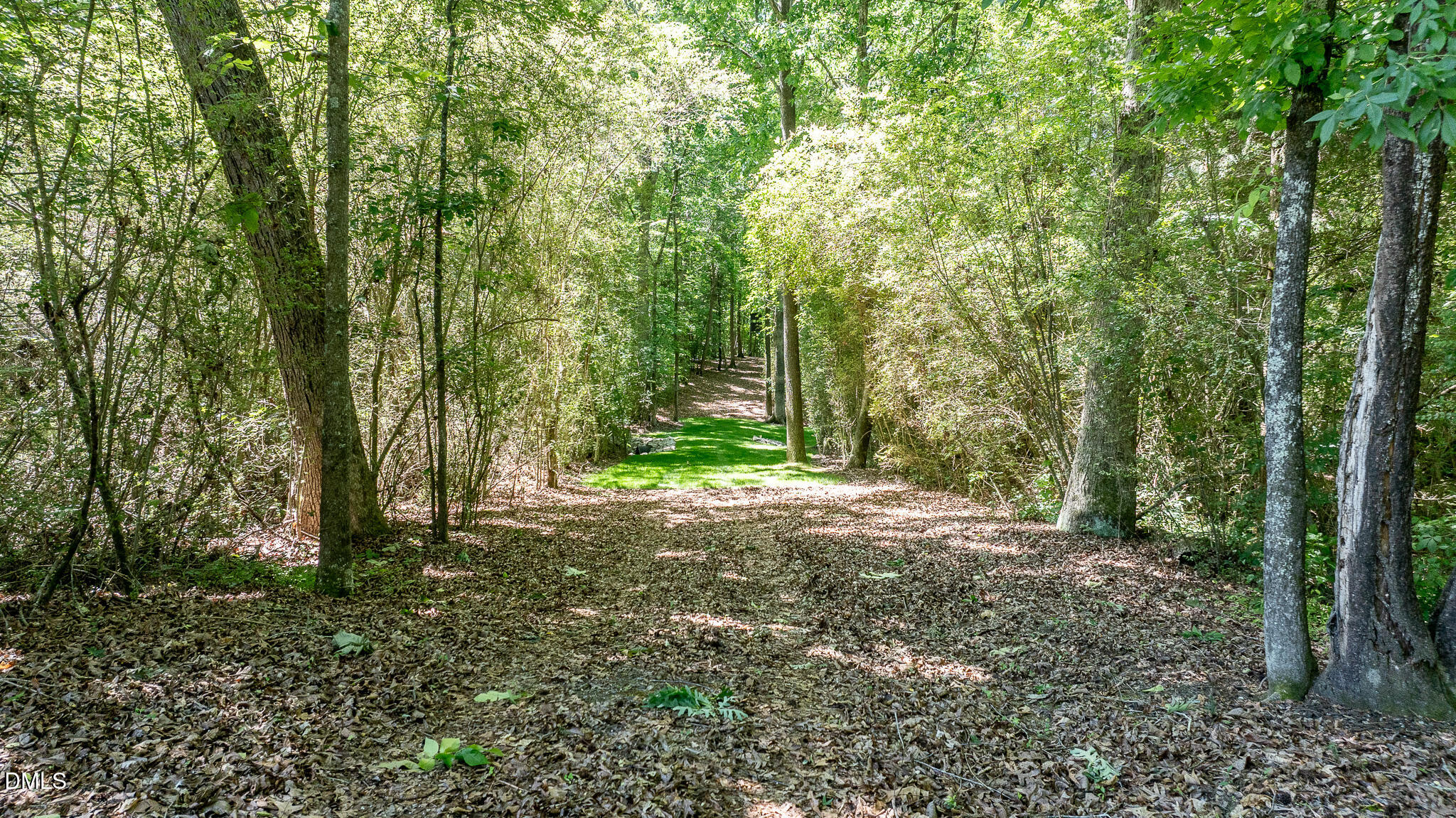 394 King Road Castalia, NC 27816 - Photo 90 of 100 a view of a forest with trees in the background