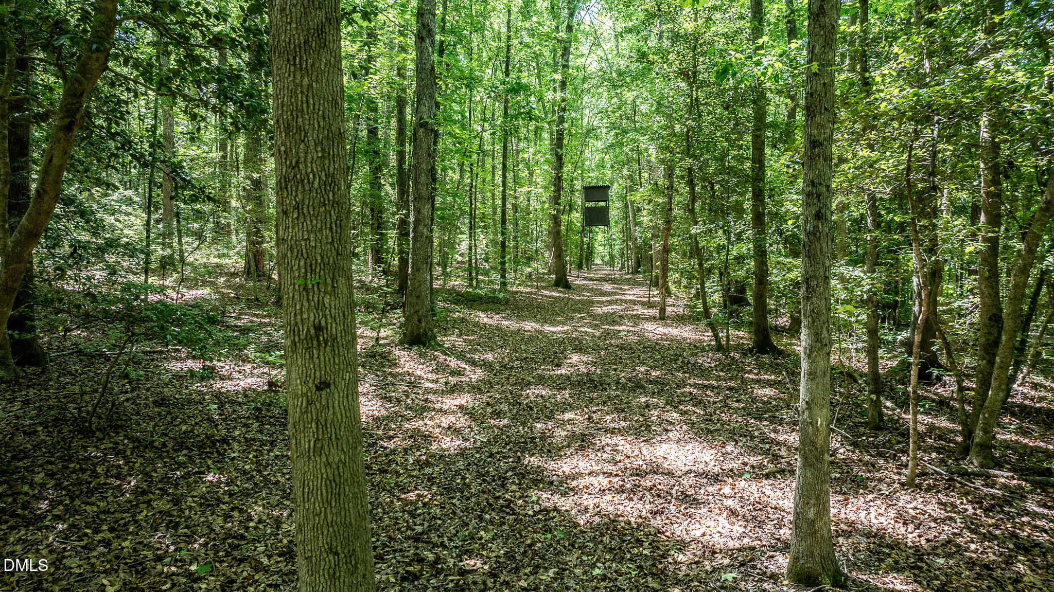394 King Road Castalia, NC 27816 - Photo 91 of 100 a big yard with lots of green space and trees
