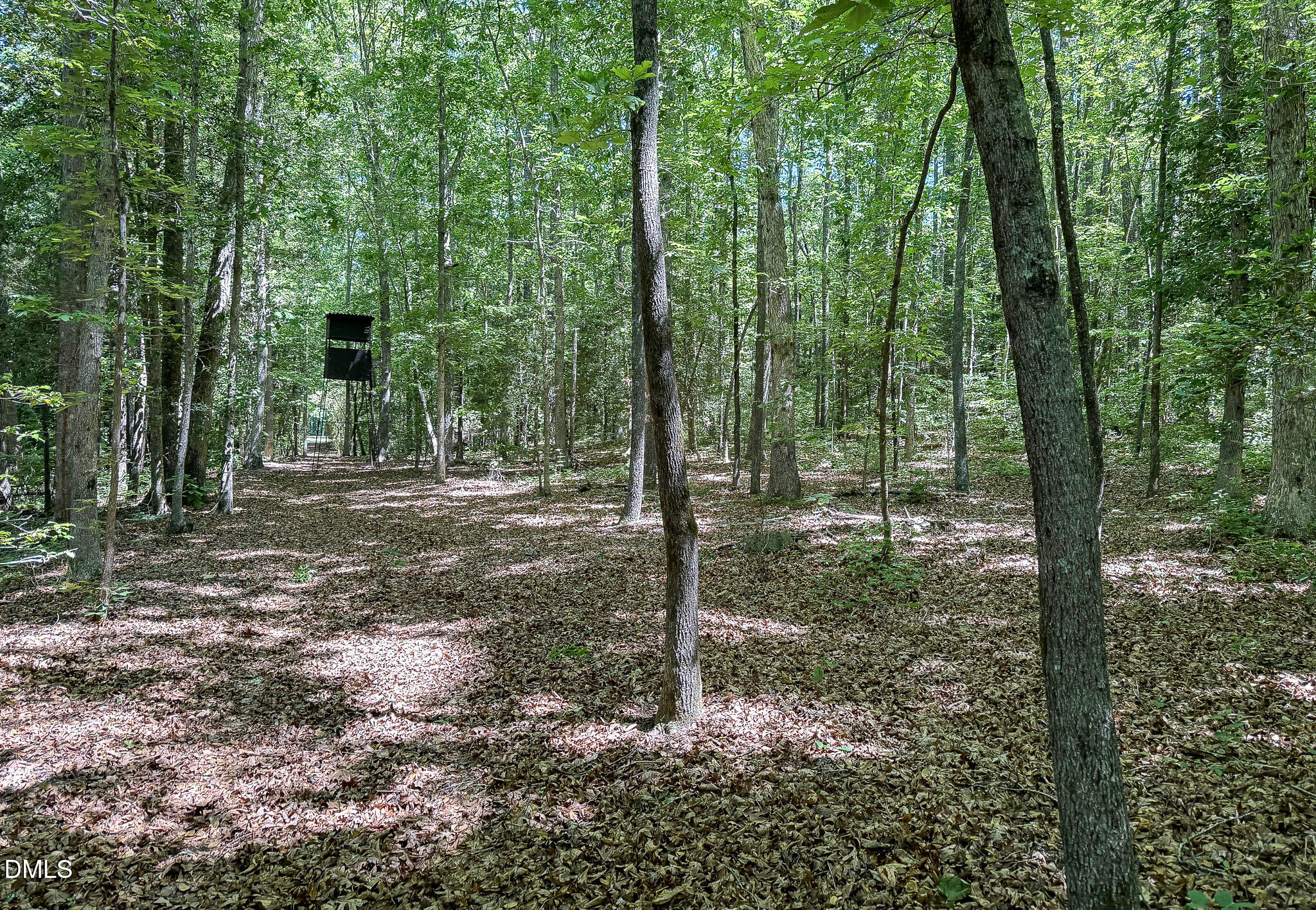394 King Road Castalia, NC 27816 - Photo 92 of 100 a backyard of a house with lots of green space