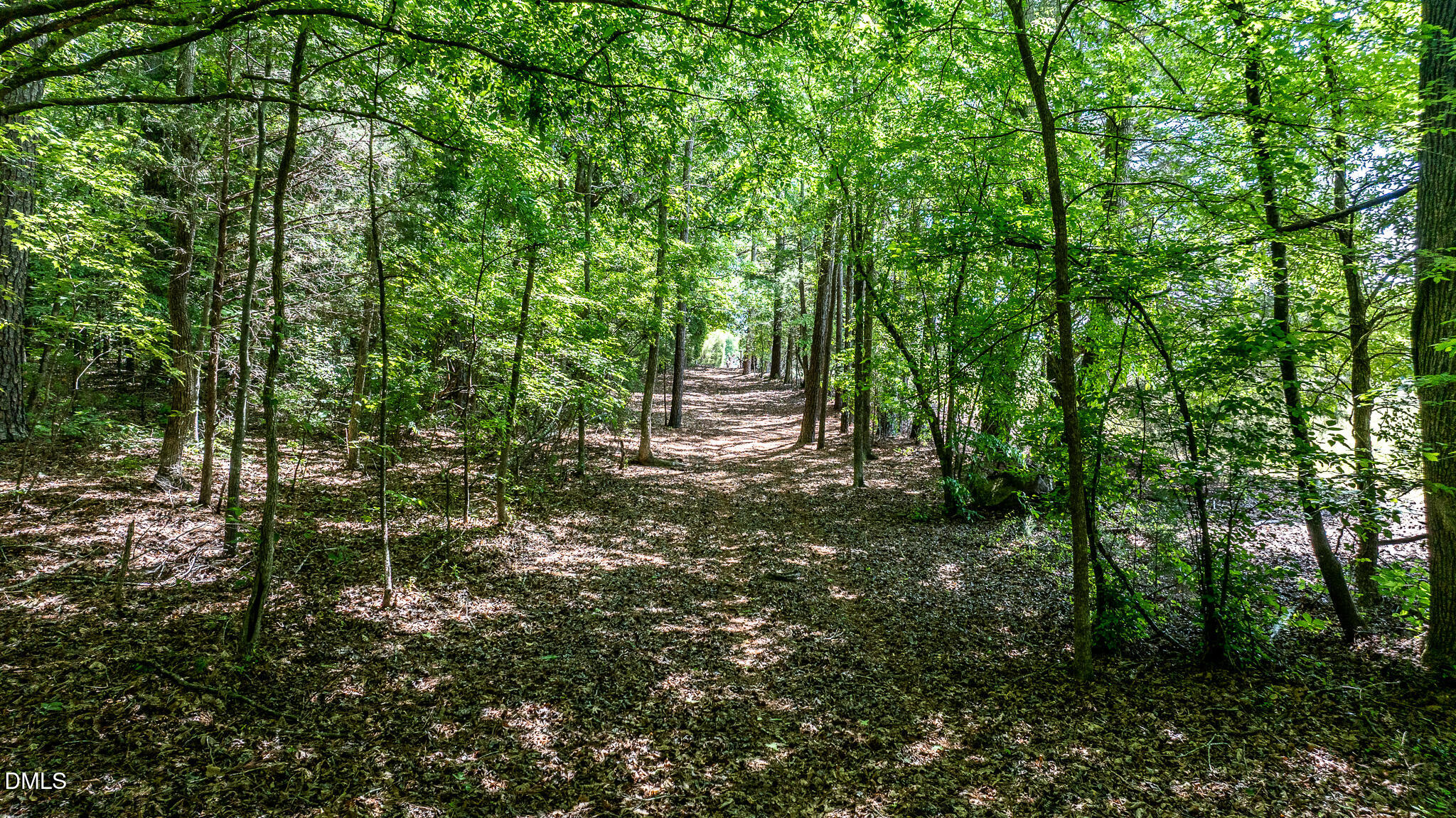 394 King Road Castalia, NC 27816 - Photo 93 of 100 a view of a lush green forest