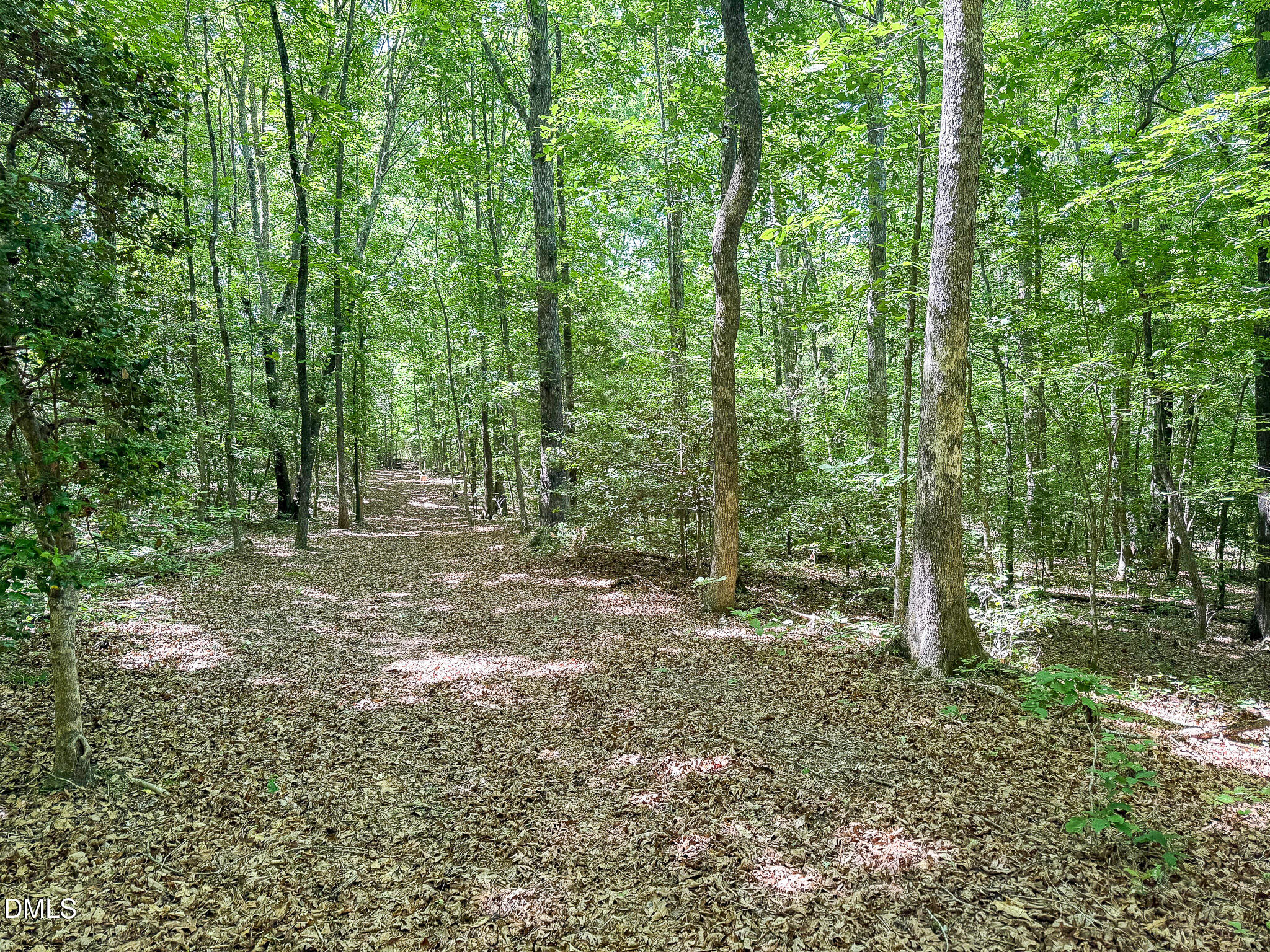 394 King Road Castalia, NC 27816 - Photo 94 of 100 a view of outdoor space and trees