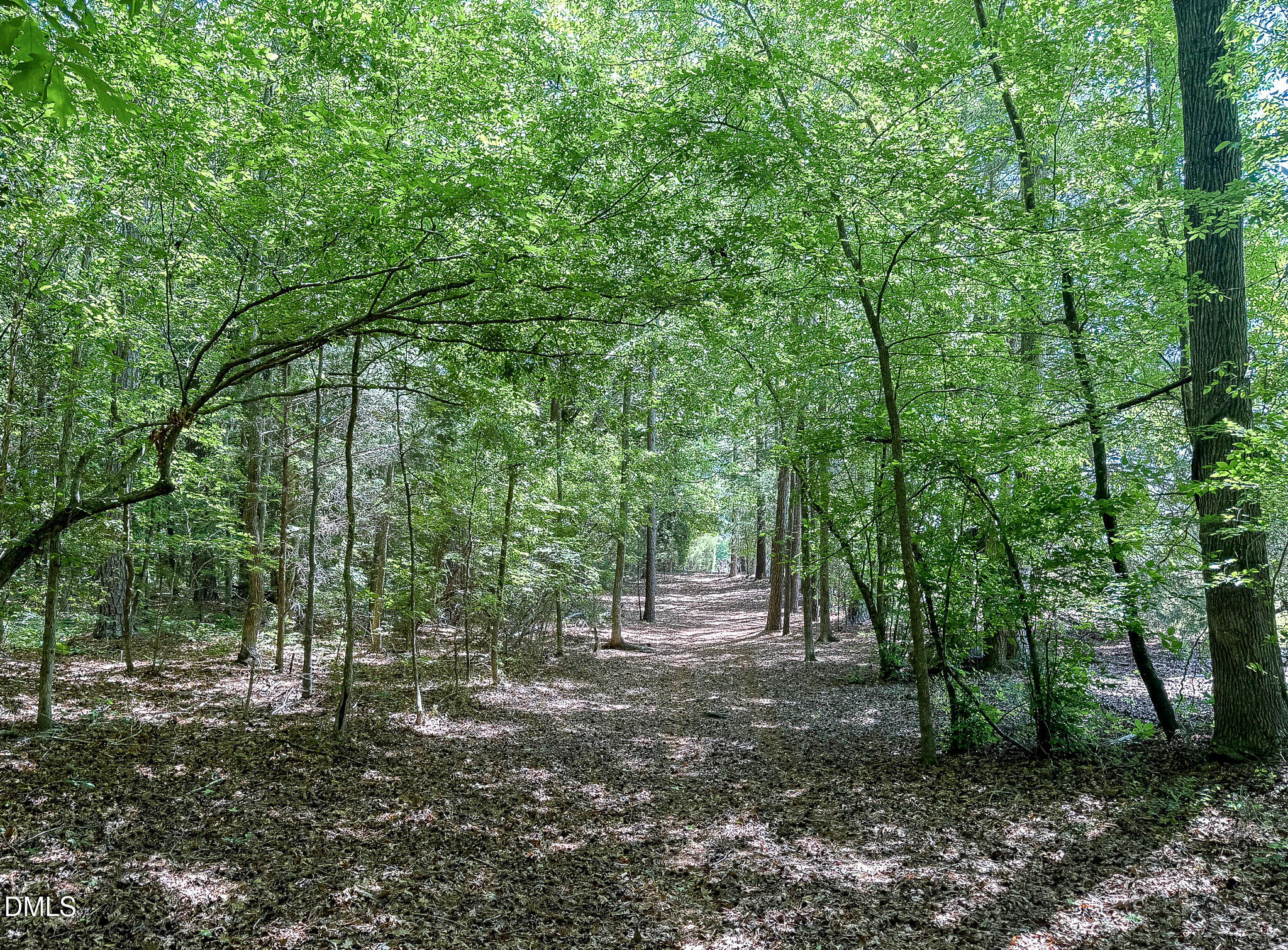 394 King Road Castalia, NC 27816 - Photo 95 of 100 394-Woods3