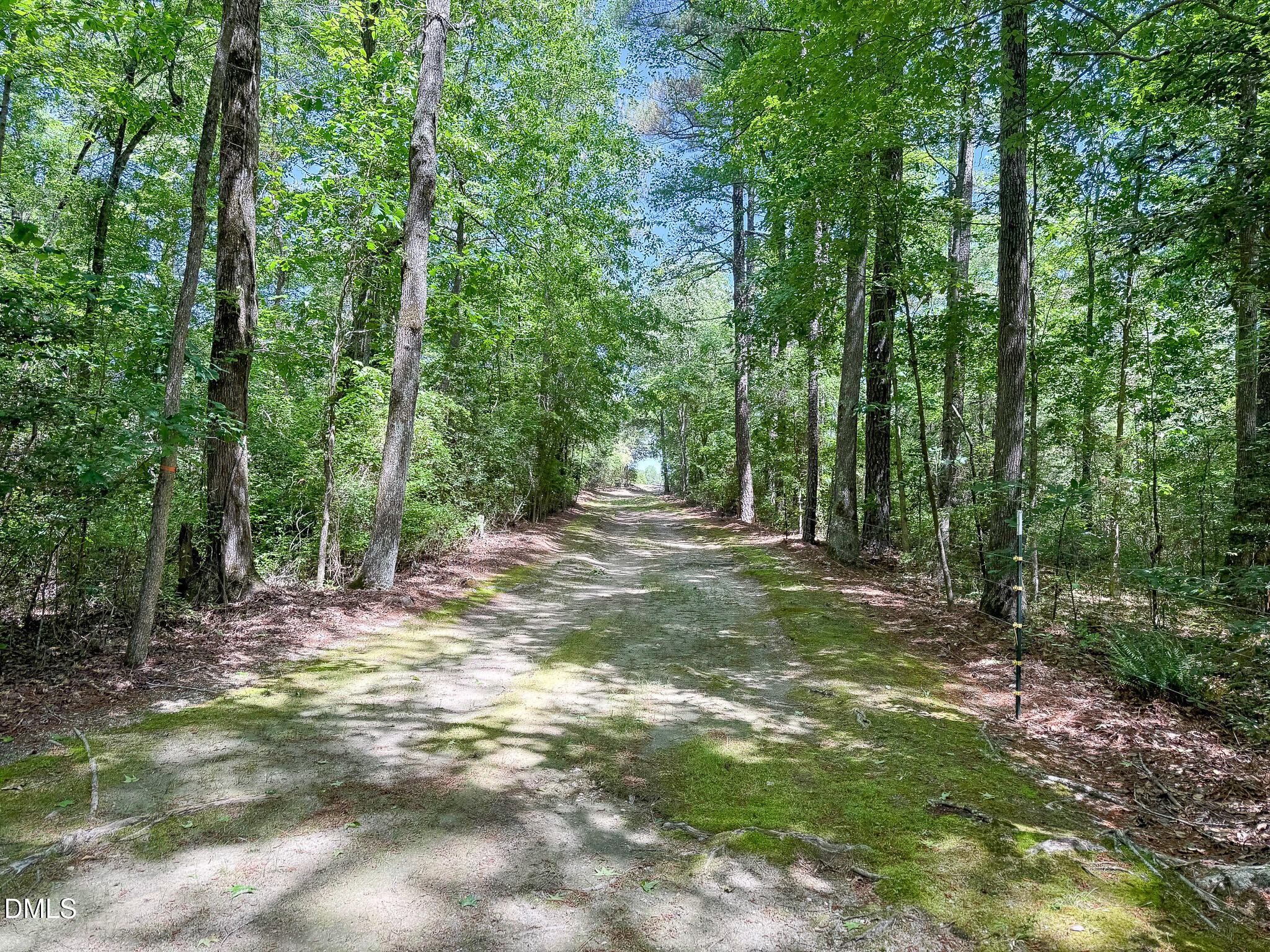 394 King Road Castalia, NC 27816 - Photo 96 of 100 a view of outdoor space with trees all around