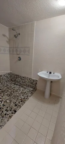 a bathroom with a sink a mirror and shower