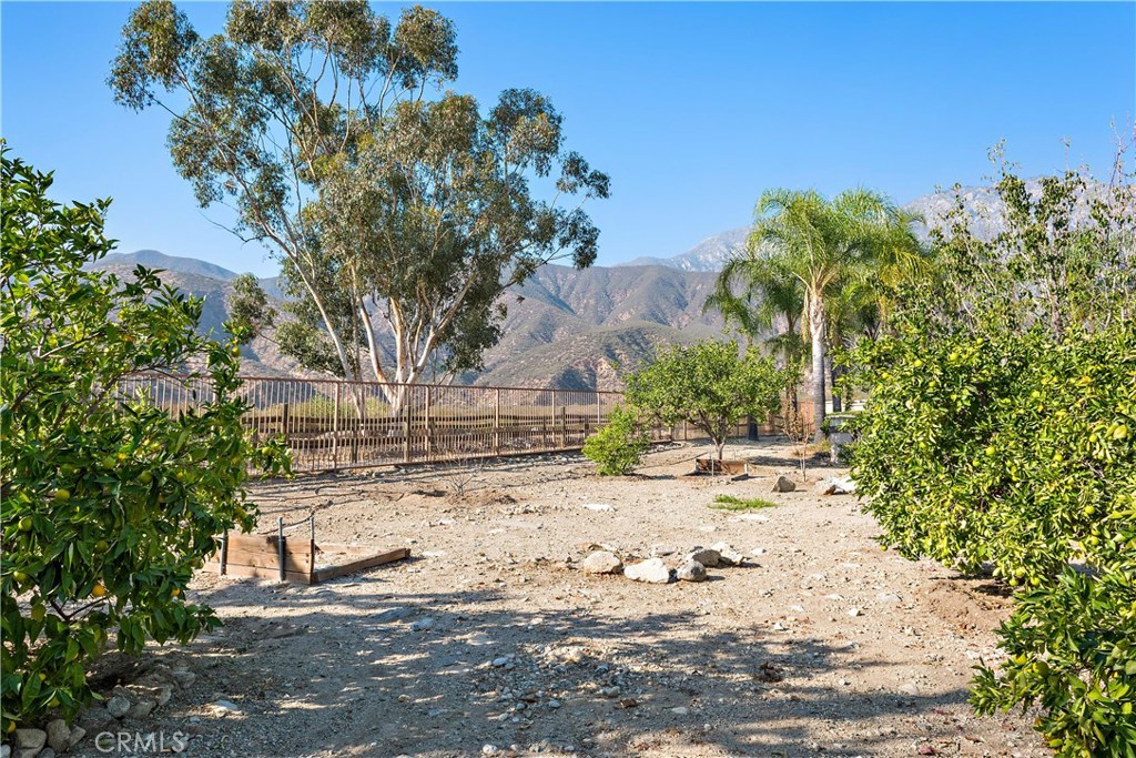 4954 Crestview Place Rancho Cucamonga, CA 91701 - Photo 13 of 40 a view of a yard covered with snow in front of house