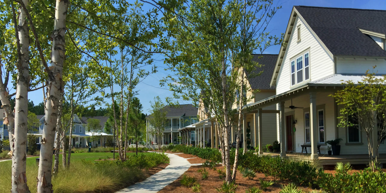 377 Ripple Park Drive Summerville, SC 29486 - Photo 11 of 18 nexton street 1