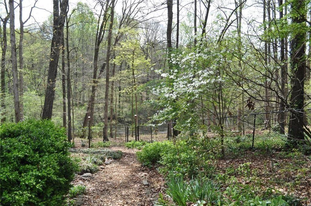 731 Hidden Lakes Trail Jefferson, GA 30549 - Photo 63 of 70 a view of a forest with trees